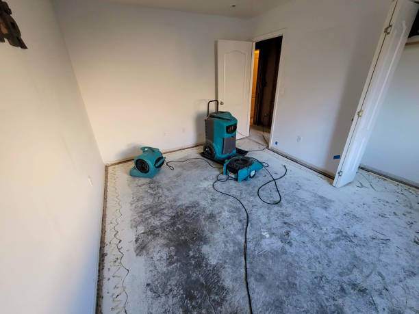 Best Flooded house restoration  in Robinwood, MD