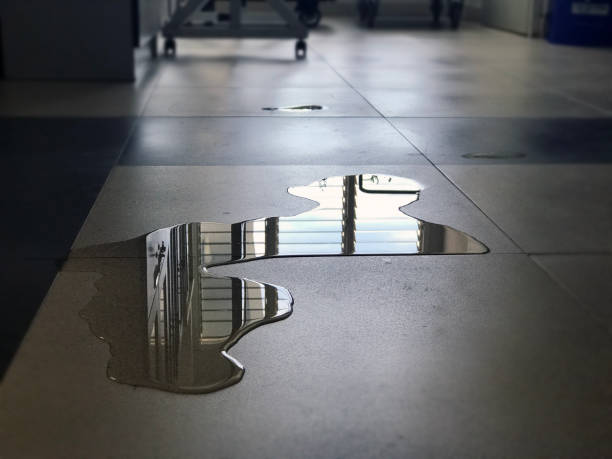 Best Water damage restoration near me  in Robinwood, MD