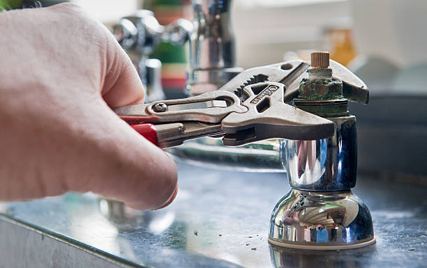 Best Flood damage cleanup  in Robinwood, MD