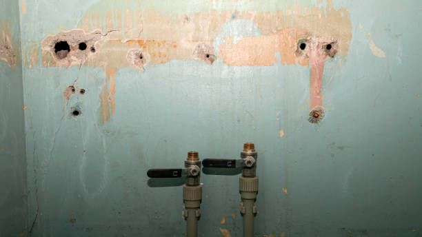 Best Ceiling water damage repair  in Robinwood, MD
