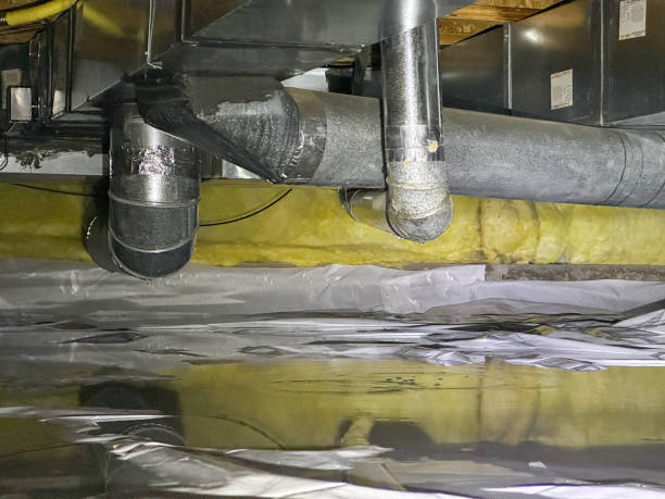 Best Ceiling water damage repair  in Robinwood, MD