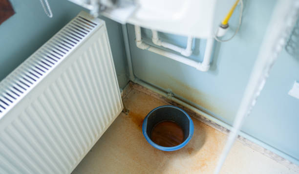 Best Sewage cleanup and water damage restoration  in Robinwood, MD