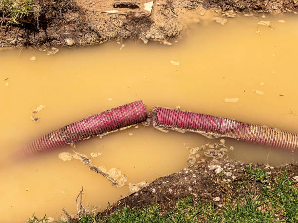 Best Mold removal after water damage  in Robinwood, MD