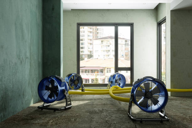 Best Sewage cleanup and water damage restoration  in Robinwood, MD